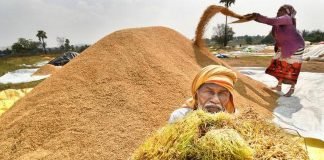 Paddy crisis adds to worries in Telangana