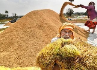 Paddy crisis adds to worries in Telangana