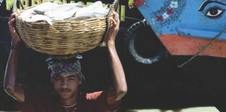 Bangladesh expected to export hilsa to India