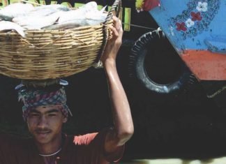 Bangladesh expected to export hilsa to India