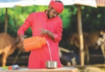 Ensuring sustainability for Indian dairy farming