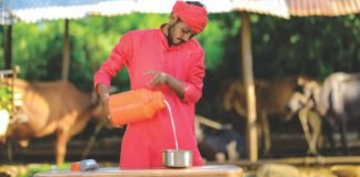 Ensuring sustainability for Indian dairy farming