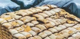 Indian poultry industry appeals to government for damaged grains