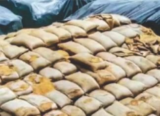 Indian poultry industry appeals to government for damaged grains