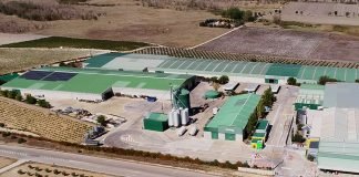 Factory management plan 2022