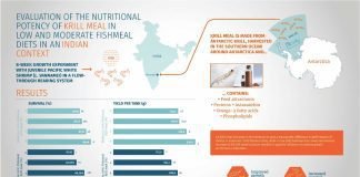 New Study reveals krill meal’s high potential for sustainable shrimp feed formulations