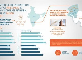 New Study reveals krill meal’s high potential for sustainable shrimp feed formulations