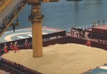 SOPA urges government not to allow import of GM soyabean meal