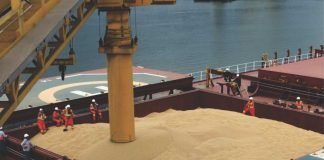 SOPA urges government not to allow import of GM soyabean meal