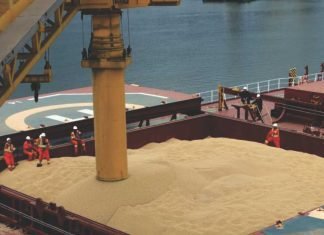 SOPA urges government not to allow import of GM soyabean meal