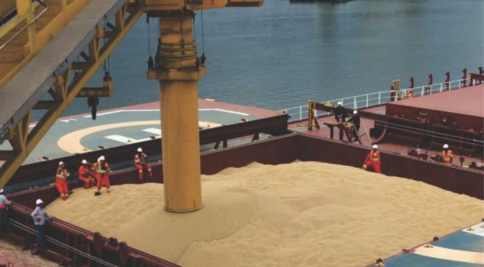 SOPA urges government not to allow import of GM soyabean meal