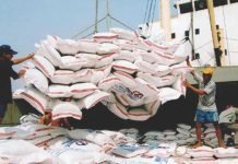Higher maize prices result in increased export demand of Indian broken rice