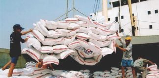 Higher maize prices result in increased export demand of Indian broken rice