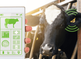 Animal husbandry start-up ensuring safe milk distribution