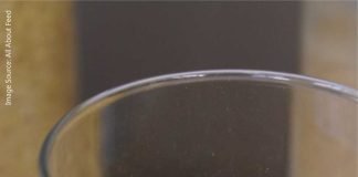 Creating demand for US DDGS in Southeast Asia