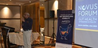 Novus Knowledge Forum on Gut Health Optimization in Poultry