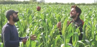 Innovative quality feeding solutions: Need of the hour for dairy farming