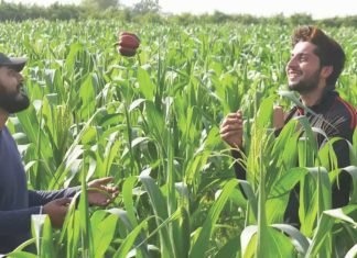 Innovative quality feeding solutions: Need of the hour for dairy farming