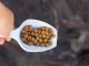 Economically viable fish-free bass feed