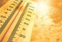 Heat stress in modern poultry Production: The molecular perspective