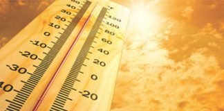 Heat stress in modern poultry Production: The molecular perspective