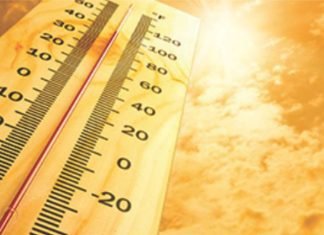 Heat stress in modern poultry Production: The molecular perspective