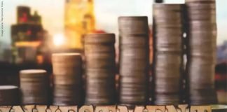 Malaysian government invests in alternative feed processing