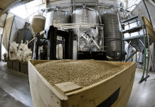 Optimizing Feed Milling Process to Control Mold Growth