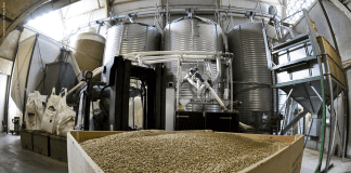 Optimizing Feed Milling Process to Control Mold Growth