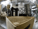 Optimizing Feed Milling Process to Control Mold Growth