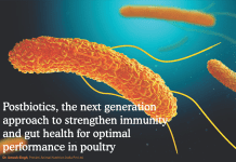 Postbiotics, the next generation approach to strengthen immunity and gut health for optimal performance in poultry