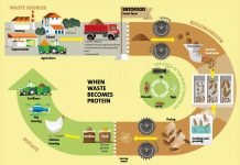 Utilise agri-wastage: Minister of Fisheries, Animal Husbandry and Dairying to livestock entrepreneurs