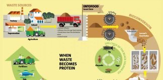 Utilise agri-wastage: Minister of Fisheries, Animal Husbandry and Dairying to livestock entrepreneurs