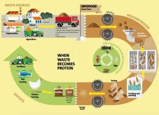 Utilise agri-wastage: Minister of Fisheries, Animal Husbandry and Dairying to livestock entrepreneurs