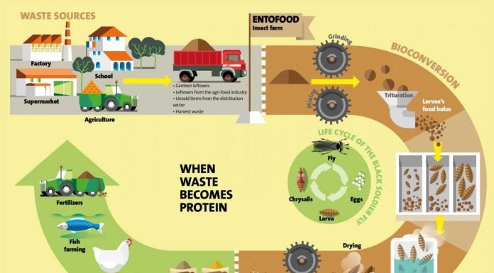 Utilise agri-wastage: Minister of Fisheries, Animal Husbandry and Dairying to livestock entrepreneurs
