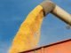 Aquaculture industry concerned over increasing feed prices