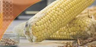 World Mycotoxin Forum 2022: Relevance and Key Learnings