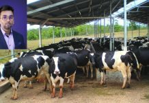 Kapila Krishi Udyog scaling to new heights in India’s cattle feed industry