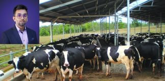 Kapila Krishi Udyog scaling to new heights in India’s cattle feed industry