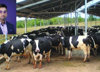 Kapila Krishi Udyog scaling to new heights in India’s cattle feed industry