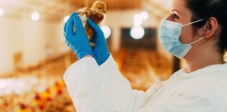 Kemin Launches, Resilient Intestinal Health solution, ENTEROSURE™