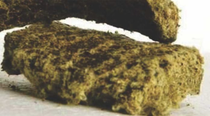 Cottonseed oil cake futures rise on fresh bets