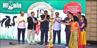 A DECADE & HALF of GRATITUDE