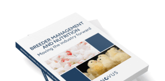 Novus to host breeder nutrition and management webinar series