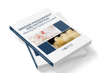 Novus to host breeder nutrition and management webinar series