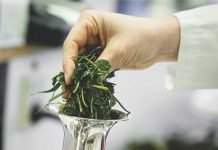 Scope of Protein Alternates in Poultry Feeds