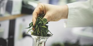 Scope of Protein Alternates in Poultry Feeds