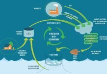Converting fish waste into aqua feed