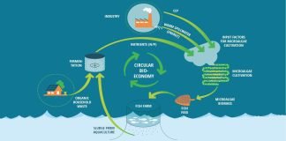 Converting fish waste into aqua feed