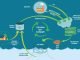 Converting fish waste into aqua feed